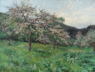 Olga Wisinger-Florian - Blühende Apfelbäume bei Abendstimmung