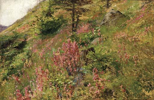 Olga Wisinger-Florian - Mountain flowers