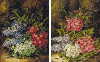 Oliver Clare - Blossom On A Mossy Bank