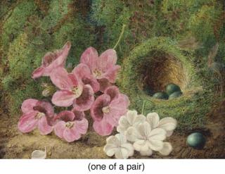 Oliver Clare - Grapes, Plums, Rasberries, and a Strawberry by a Mossy Bank; and Pansies and Violets by a Bird\'s Nest with Eggs on a Mossy Bank