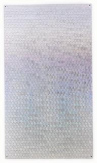 Oliver Laric - Schengen Visa Hologram