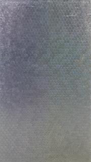 Oliver Laric - Schengen Visa Hologram