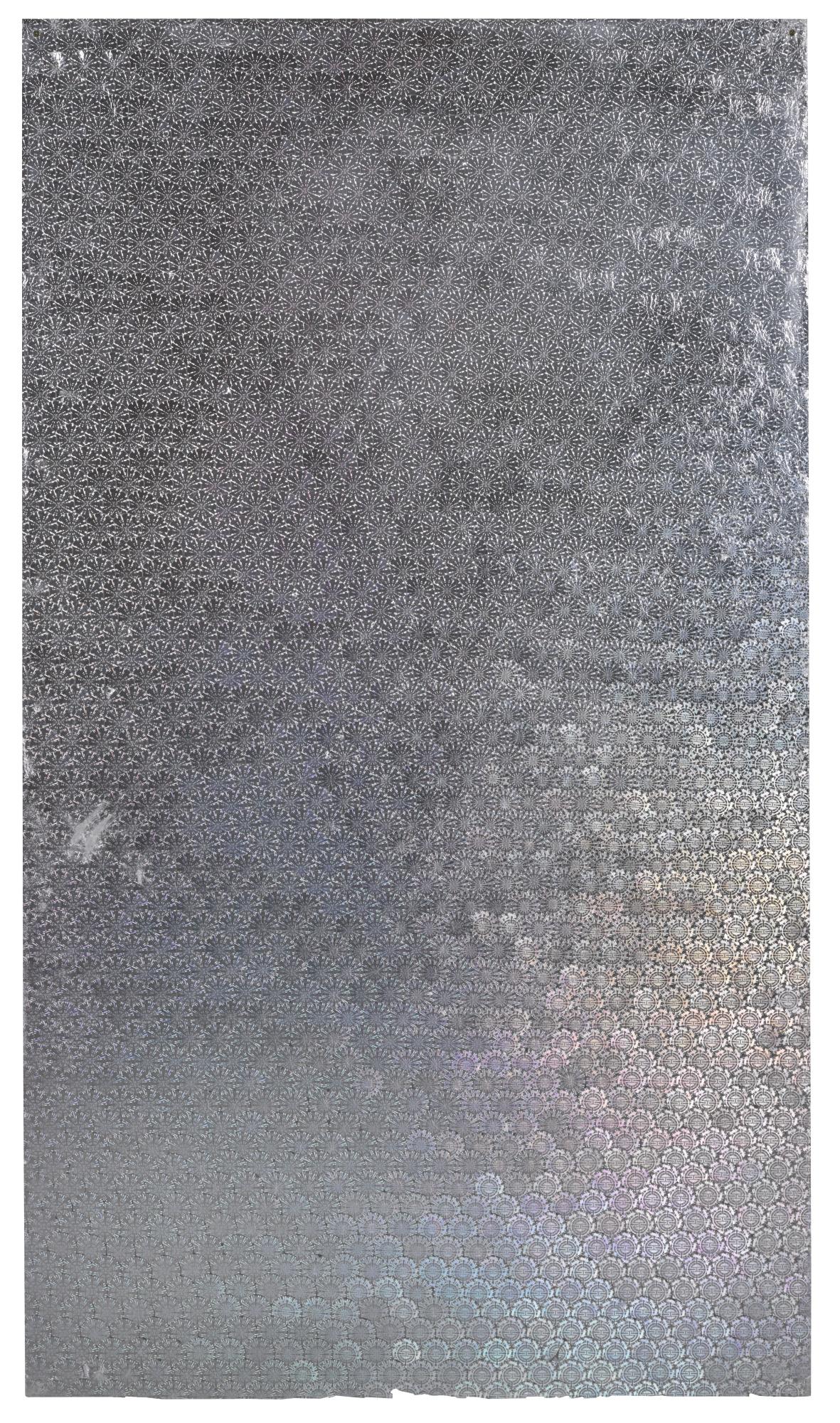 Oliver Laric - Schengen Visa Hologram