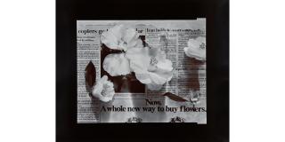 Olivia Parker - A Whole New Way to Buy Flowers