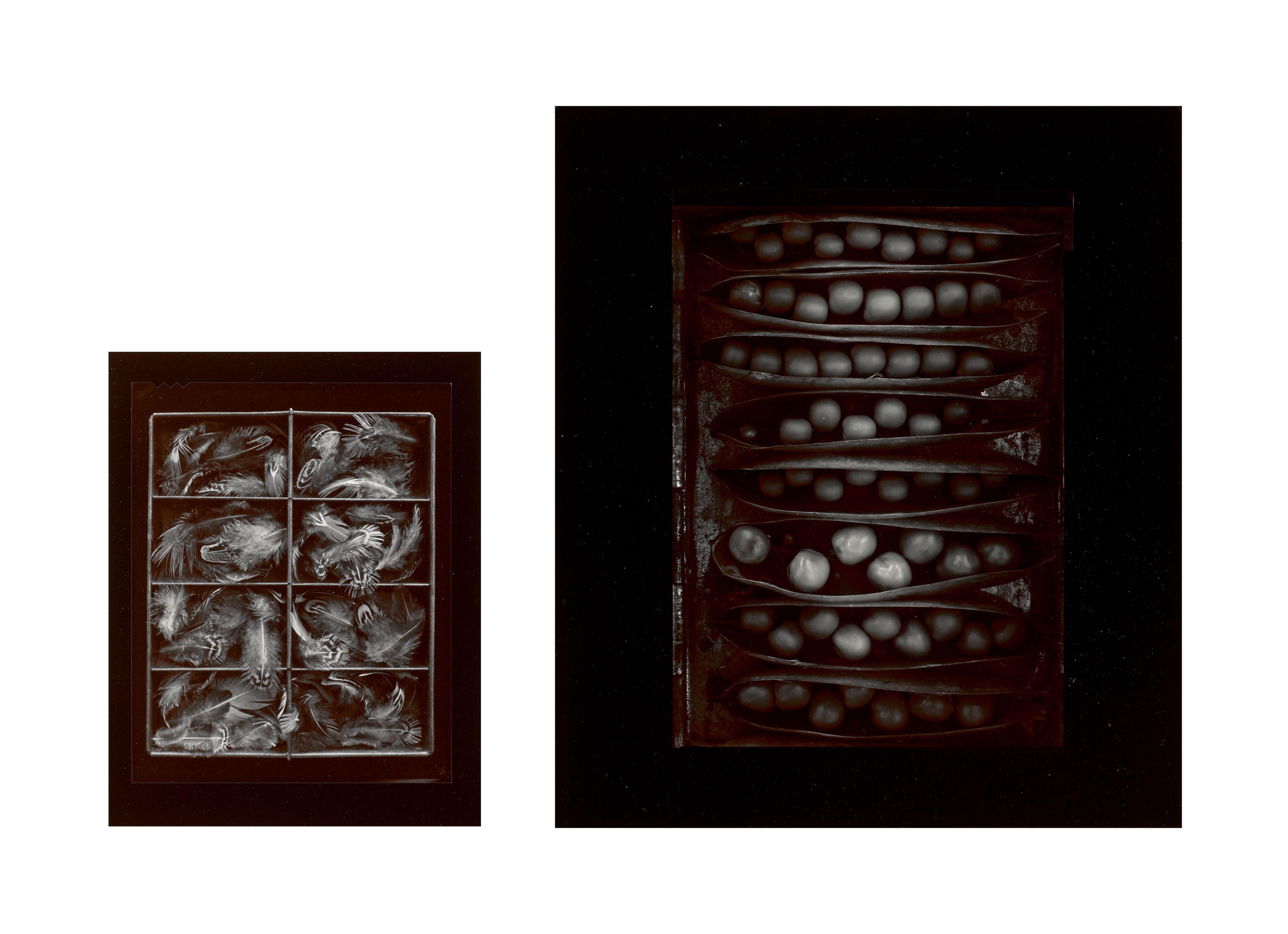 Olivia Parker - Selected Images