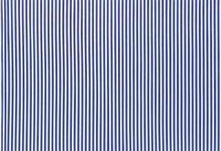 Olivier Mosset - Untitled (Blue strips), 1989