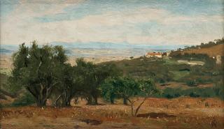 Olof Arborelius - View from Capidimonte di Sorrento