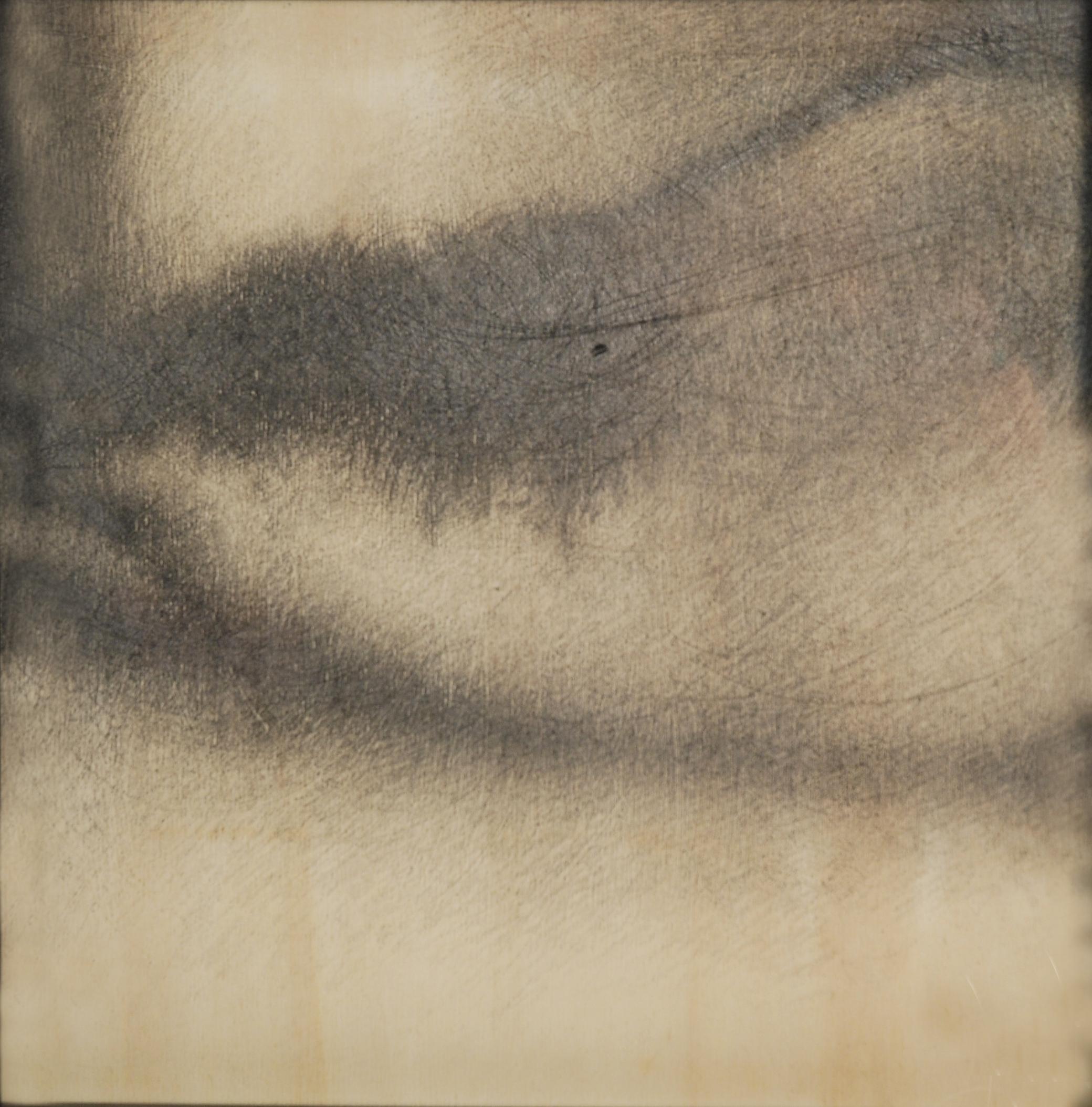 Omar Galliani - Ti ricordi Anselma?