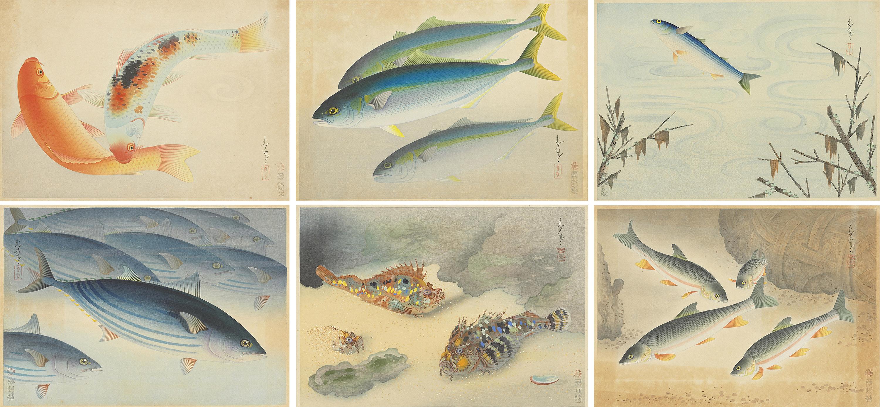 Ono Bakufu - The Complete Set: Great Japanese Fish Picture Collection, Vol.3