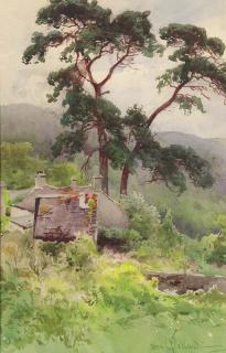 Onorato Carlandi - Firs on the way to Llyn Elsi