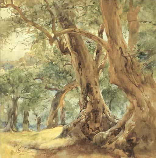 Onorato Carlandi - Tivoli, Scorcio Tra Gli Ulivi