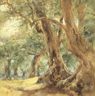 Onorato Carlandi - Tivoli, Scorcio Tra Gli Ulivi