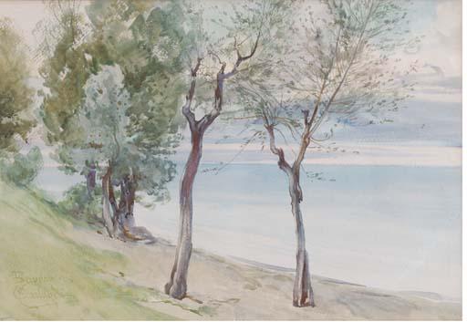 Onorato Carlandi - Trees On The Coast At Baveno