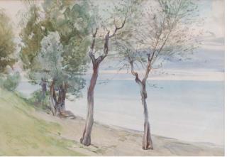Onorato Carlandi - Trees On The Coast At Baveno