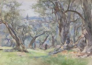 Onorato Carlandi - Ulivi A Tivoli