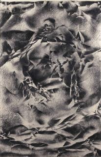 Ophelie Asch - Bataille