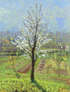 Oreste Albertini - Besano, Varese. Primavera