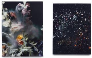 Ori Gersht - Time After Time: Untitled 1 & Untitled 7 (Two Works)