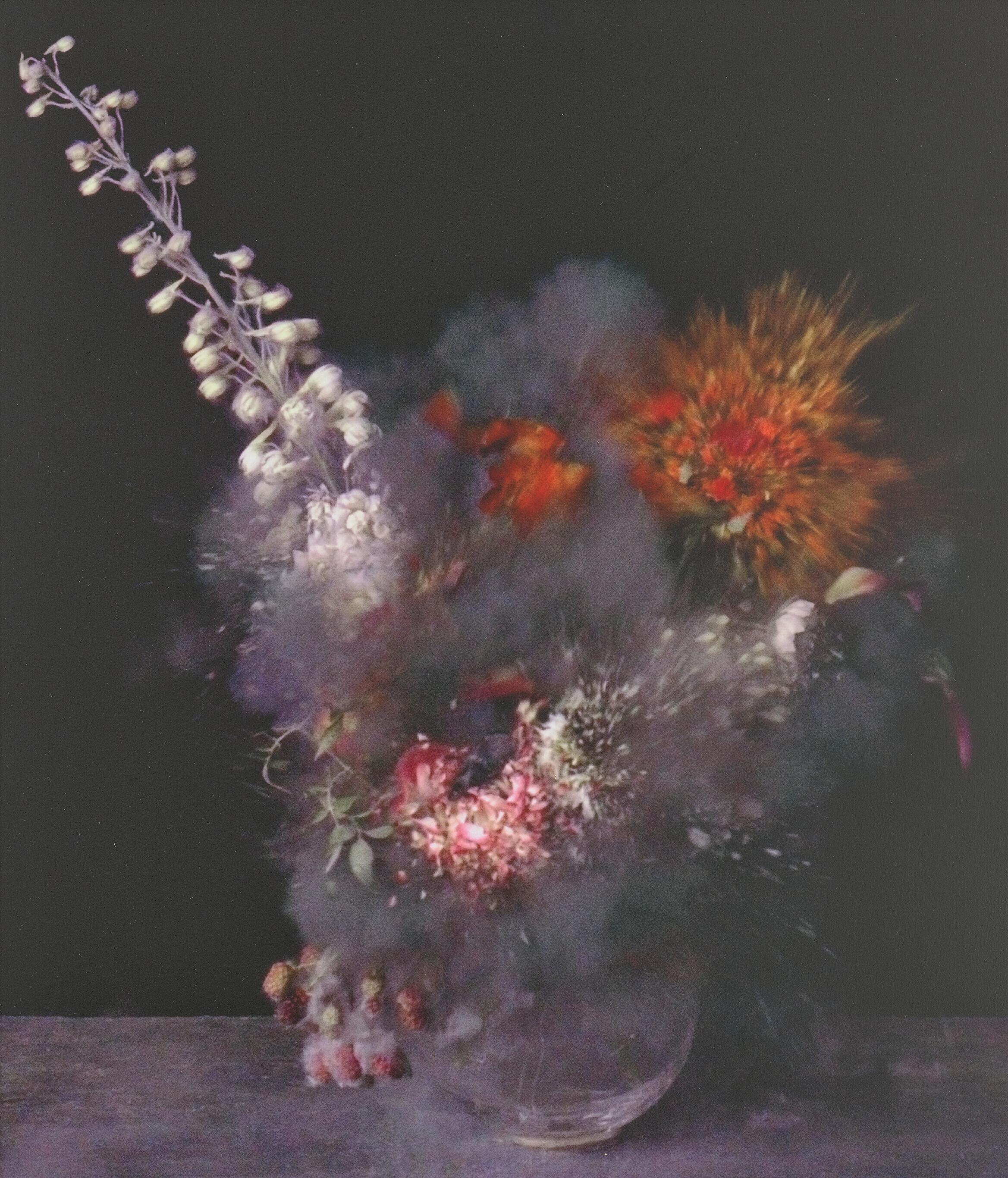 Ori Gersht - Untitled 5 (series \'Time after Time: Exploding Flowers & Other Matters\'), 2007