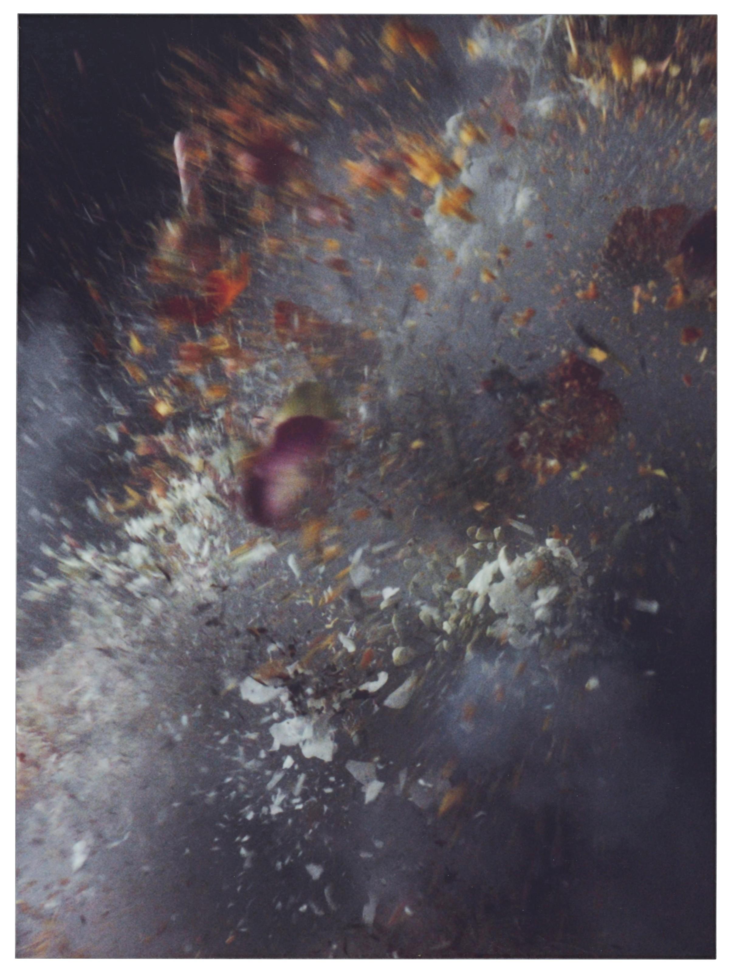 Ori Gersht - Untitled 9, 2006 & Untitled 21, 2006