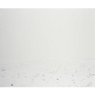Ori Gersht - White Scape 2