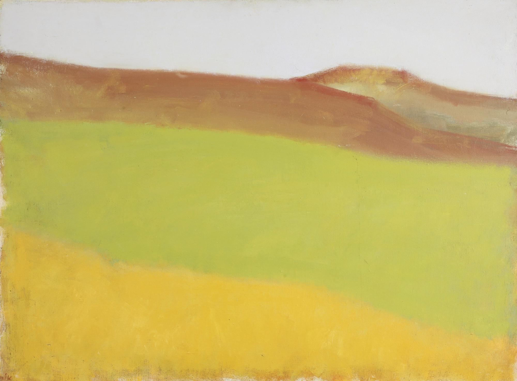 Ori Reisman - Landscape