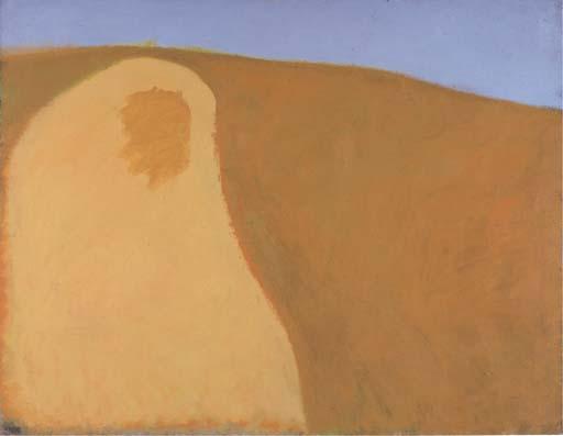 Ori Reisman - Landscape