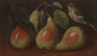 Orsola Maddalena Caccia - Three Pears And A Bird On A Ledge