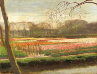 Oscar Mendlik - Bulbfields