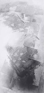 Oscar Muñoz - Otoño