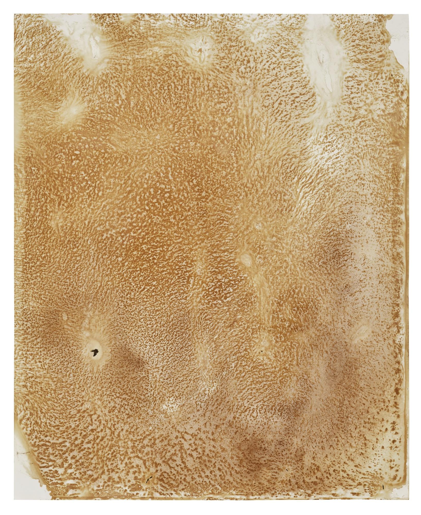 Oscar Tuazon - Untitled