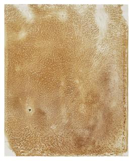 Oscar Tuazon - Untitled