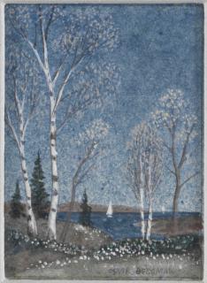 Oskar Bergman - Björkhagen