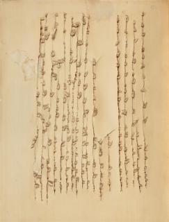 Oskar Holweck - A26/IX 59