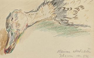 Oskar Kokoschka - Kopf einer Ente