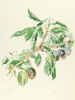 Oskar Kokoschka - Pflaumenzweig