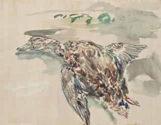 Oskar Kokoschka - Vogel