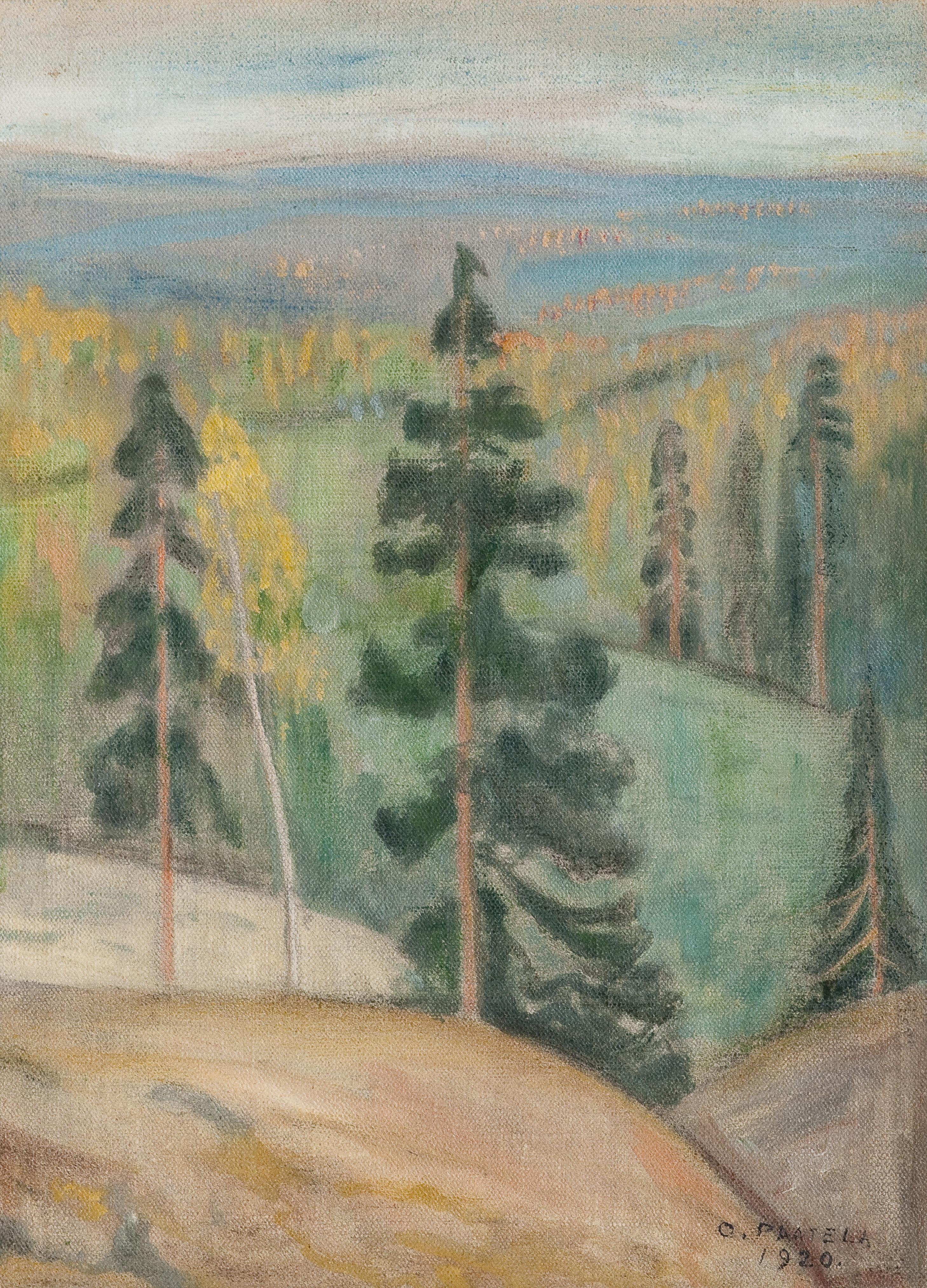 Oskari Paatela - View Of Koli.