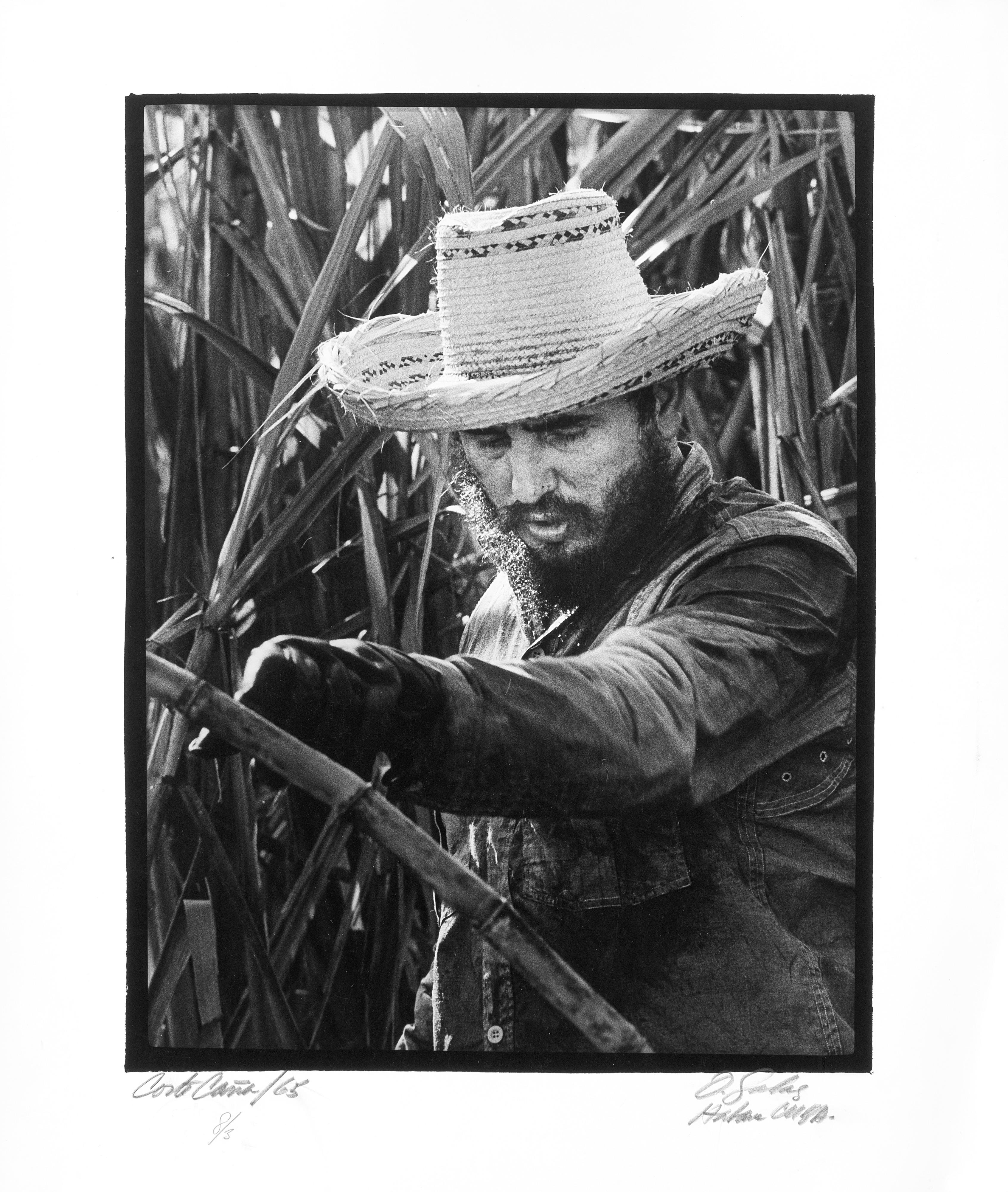 Osvaldo Salas - Corte caña 1965