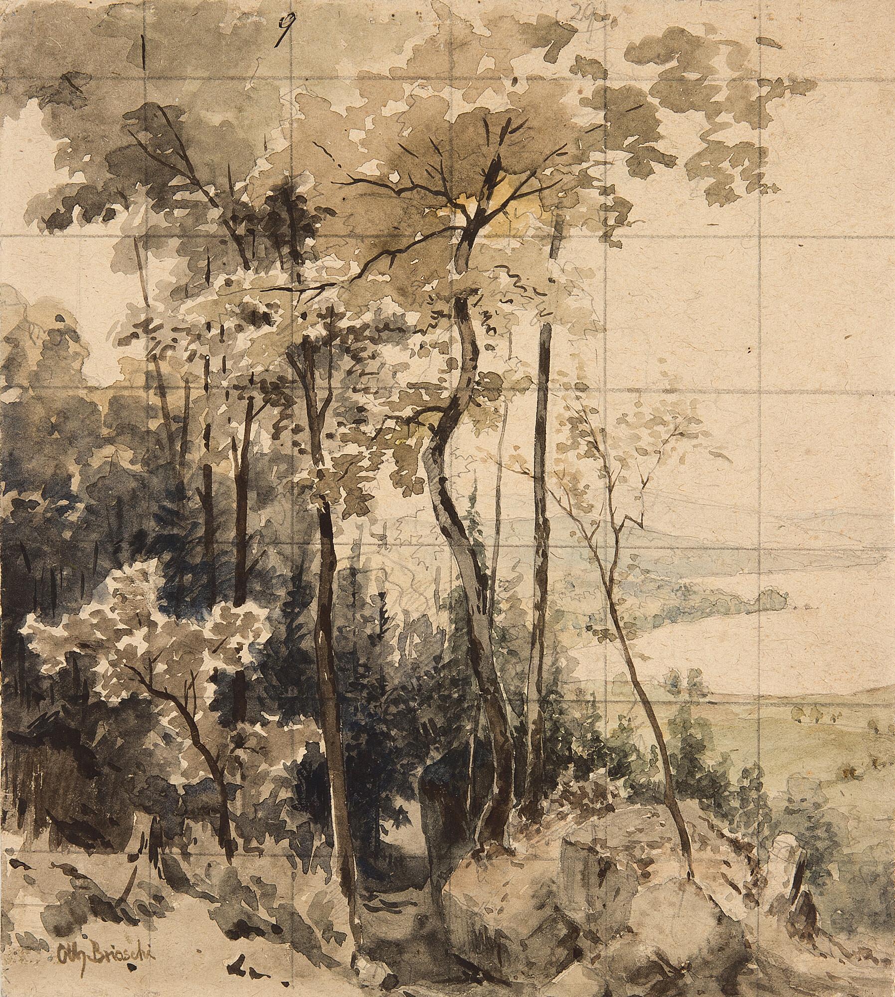 Othmar Brioschi - Blick von bewaldeter Anhöhe auf einen See.