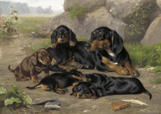 Otto Bache - The watchful eye