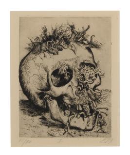 Otto Dix - Schädel (Karsch 100)