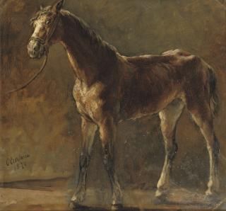 Otto Eerelman - A brown foal
