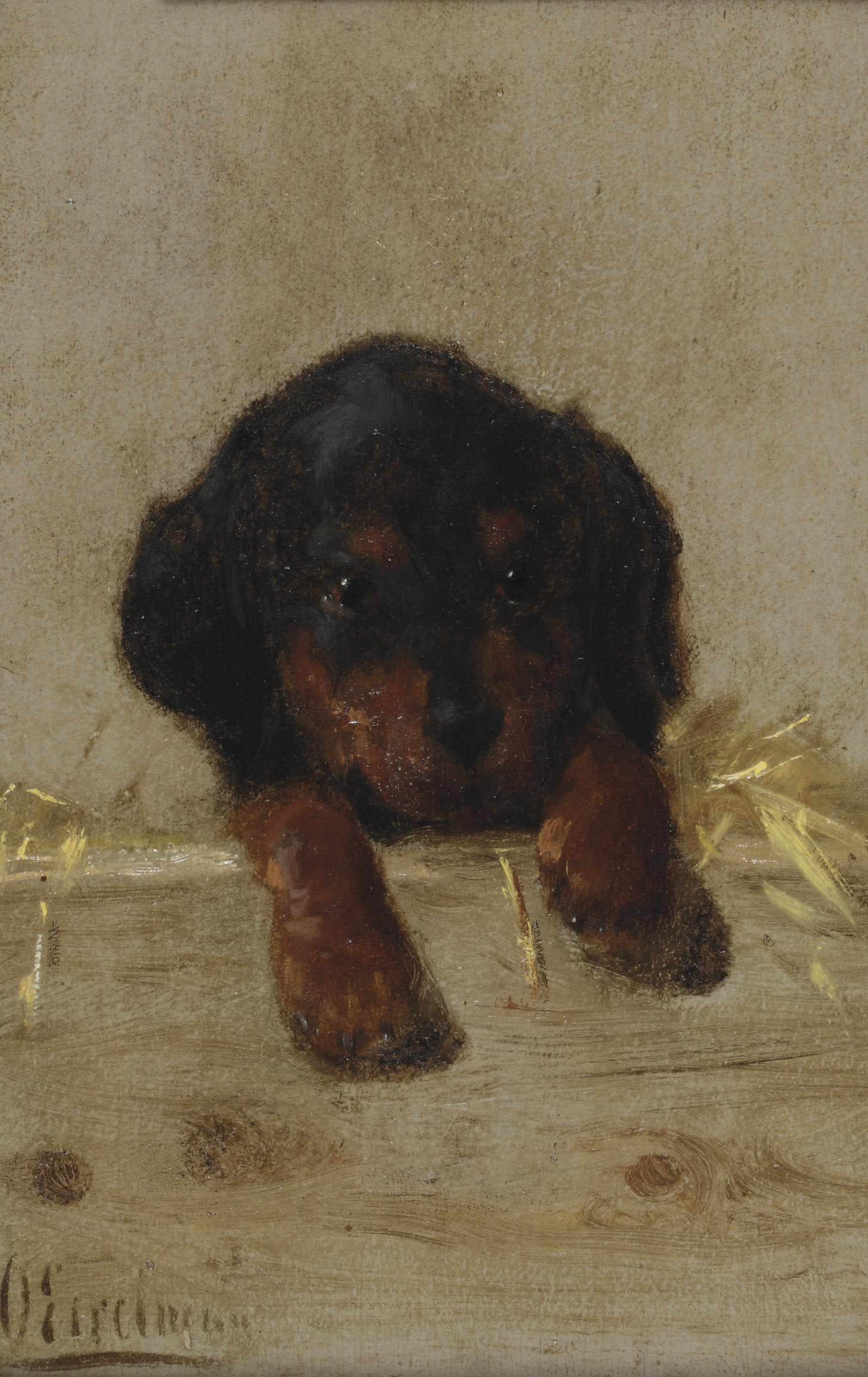 Otto Eerelman - A dachshund puppy