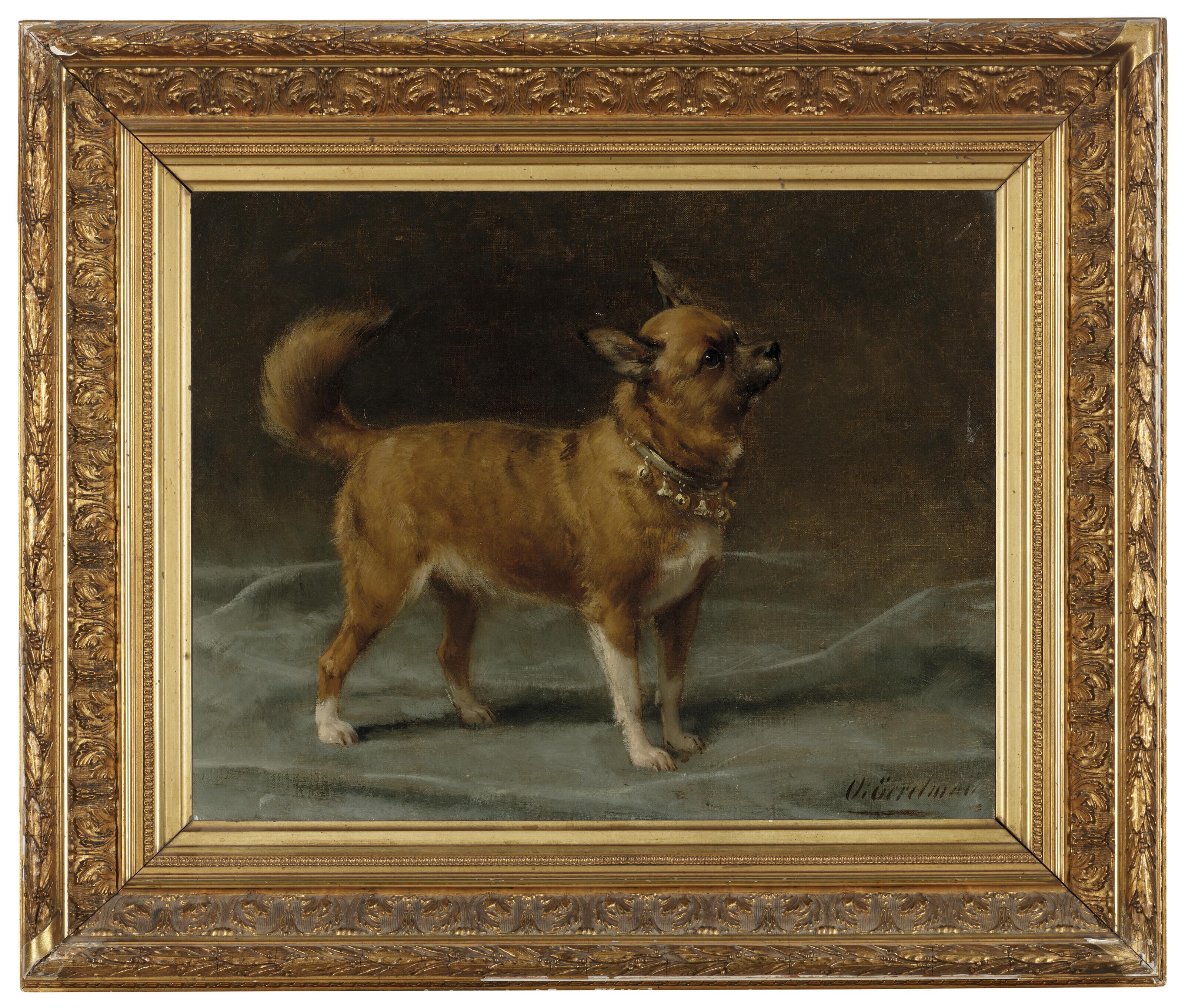 Otto Eerelman - A Pinscher