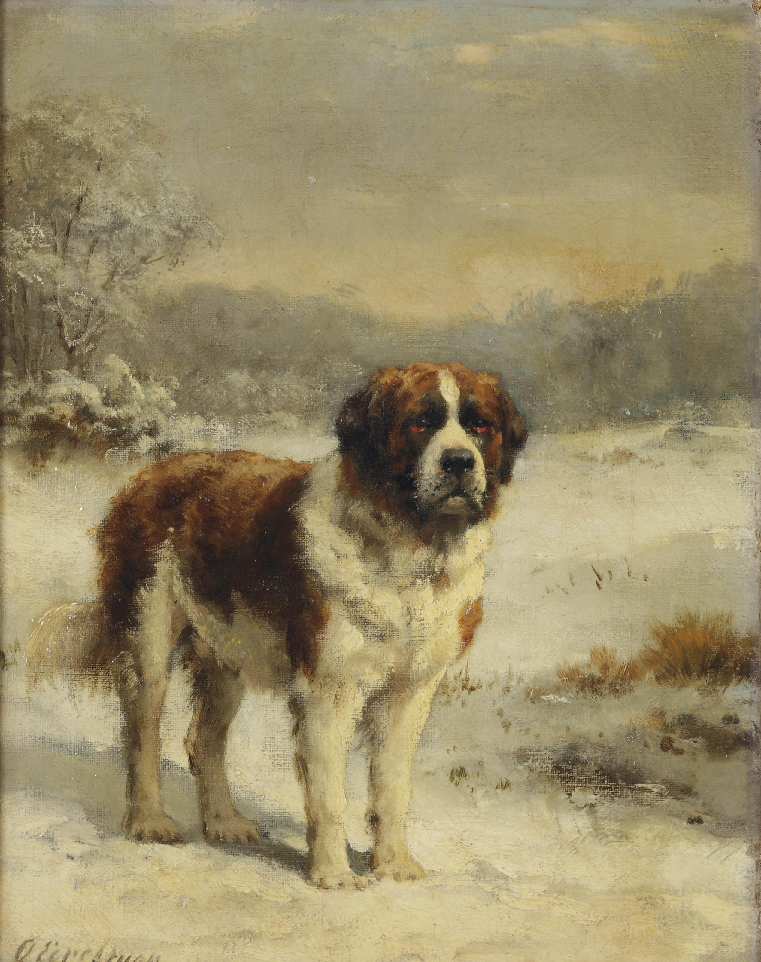 Otto Eerelman - A Saint-Bernard in the snow