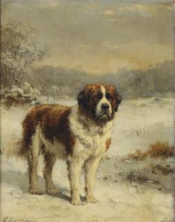 Otto Eerelman - A Saint-Bernard in the snow