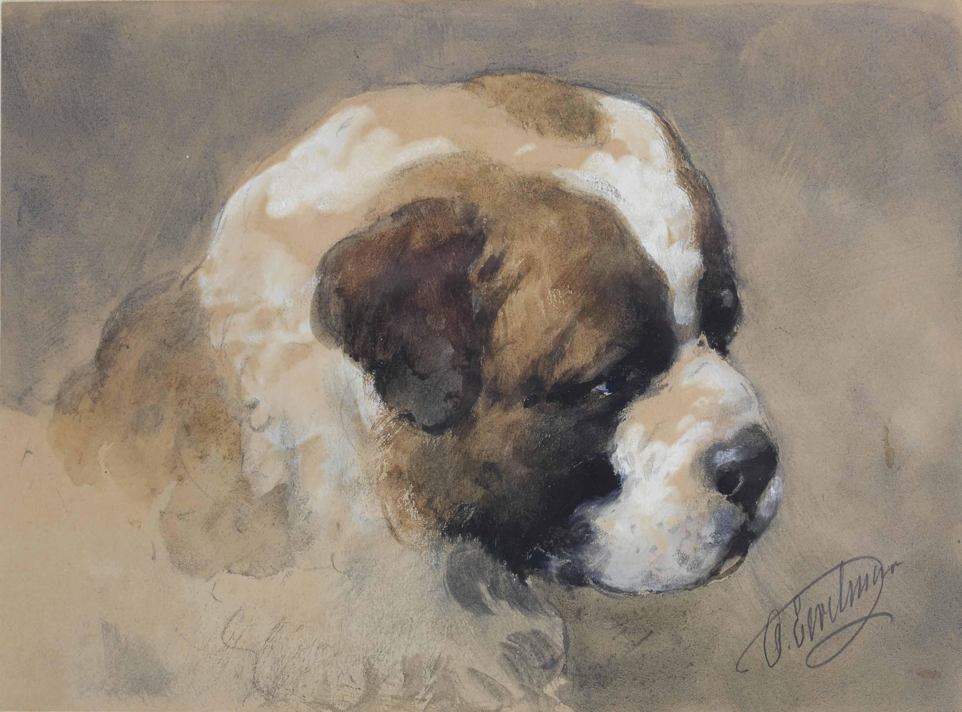 Otto Eerelman - A study of a Saint Bernard puppy