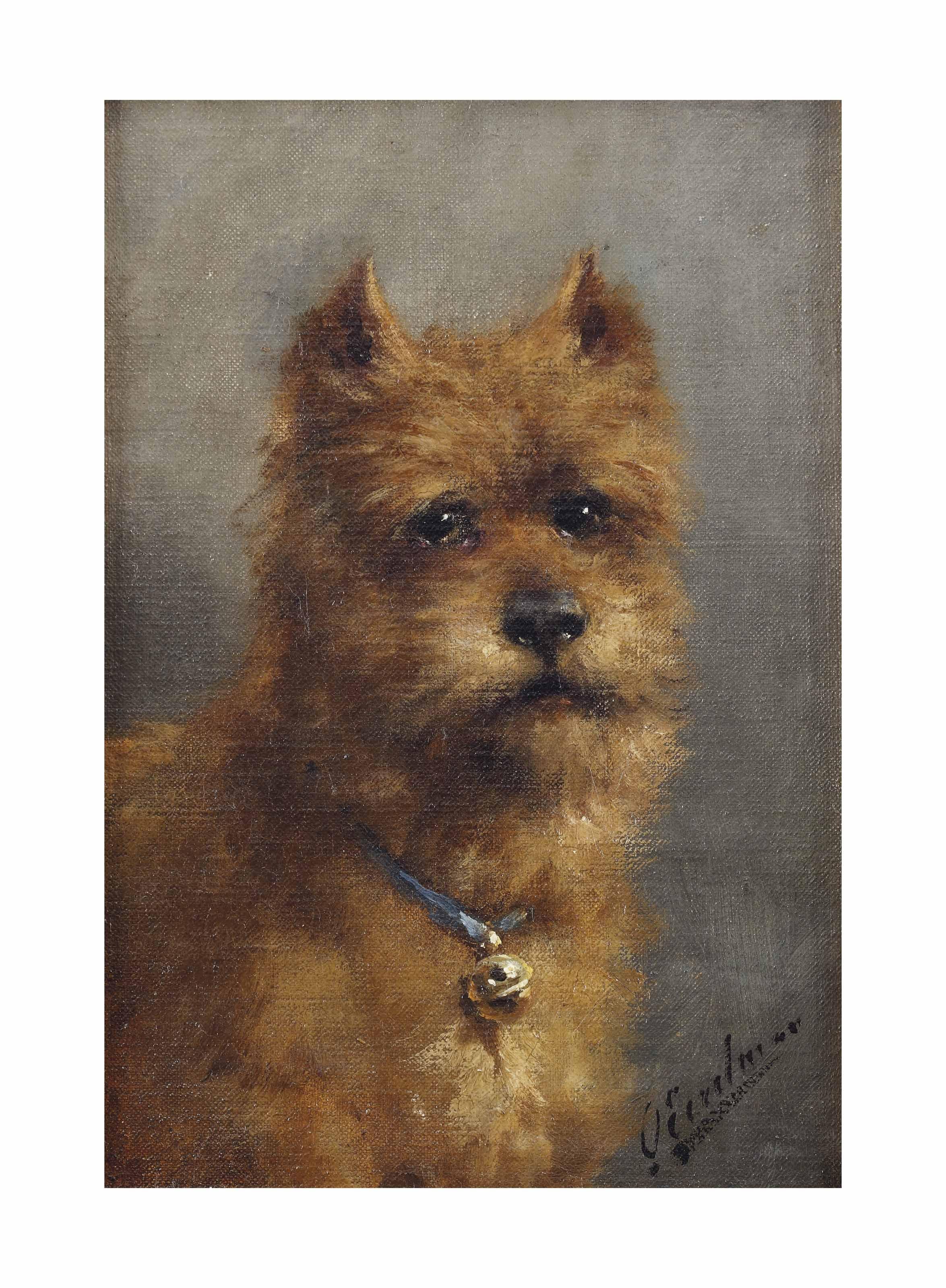 Otto Eerelman - A terrier