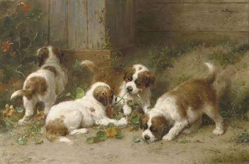 Otto Eerelman - Saint Bernard puppies playing with Indian cress
